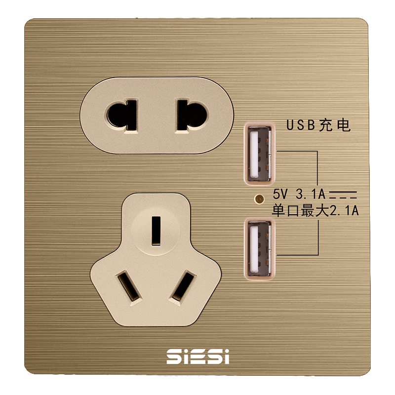 10A二三极插座带双USB-V6富贵金-PA视讯照明官网