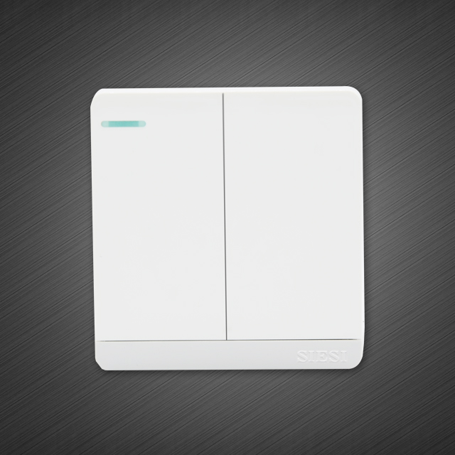 10A二位单控开关-S1系列-PA视讯照明官网