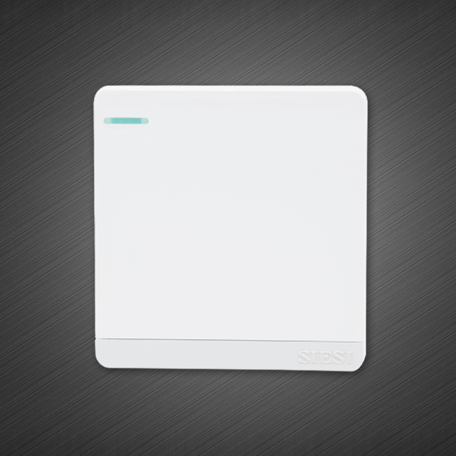 10A一位单控开关-S1系列-PA视讯照明官网