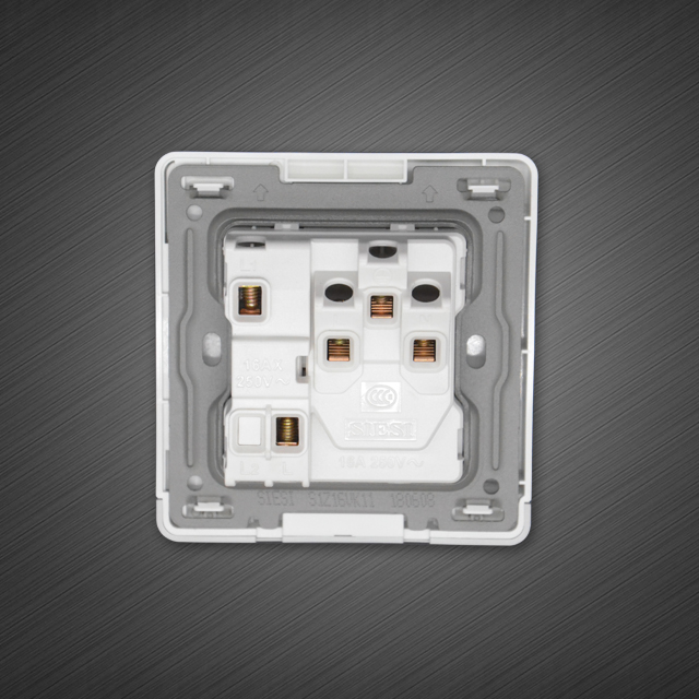 16A三极插座带单控开关-S1系列-PA视讯照明官网