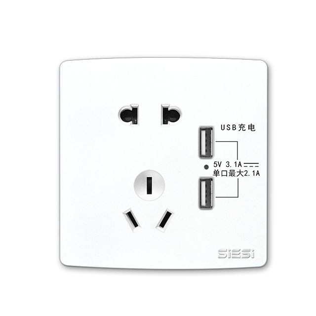 二三极插座带双USB-V10系列-PA视讯照明官网