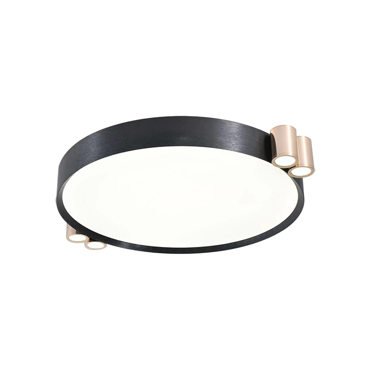 X-DX0140-高端吸顶灯-PA视讯照明官网